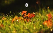 ϵĶʮĹ֮¶ƪ